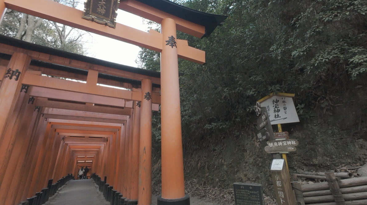 裏ルートへの入り口